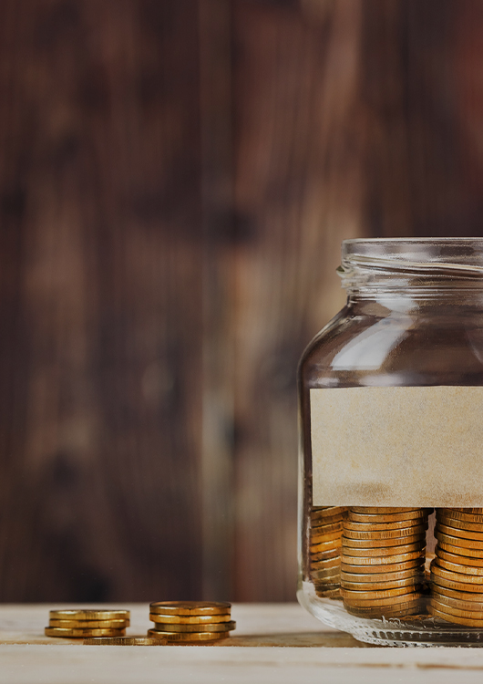 ライフコスト見直し事業Life Cost Review