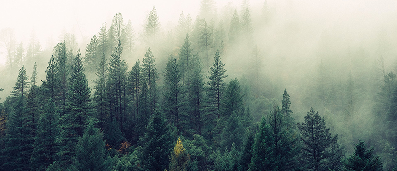 自然と共に繁栄する