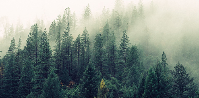 自然と共に繁栄する