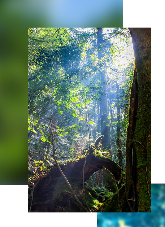 事業紹介BUSINESS